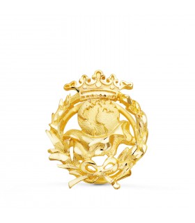 Insignia profesional Geografía Oro 18K - Pin profesiones - carreras universitarias - emblema, escudo de oro