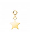 Charm oro amarillo 18K Estrella