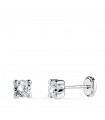 Clous d'oreilles Alina 4 mm Or blanc 750